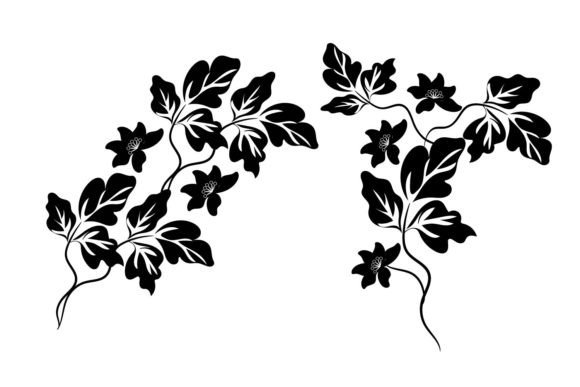 Using Elegent Decorative Ornamental Floral for Brand Graphics